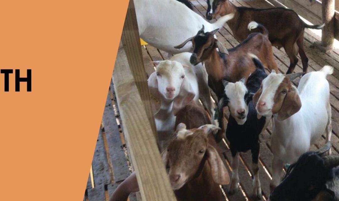 Farming with the Family