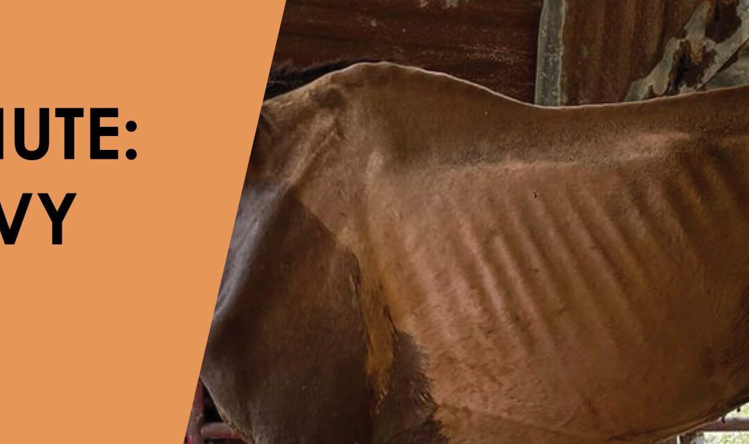 Marla’s Minute: Saving Savvy