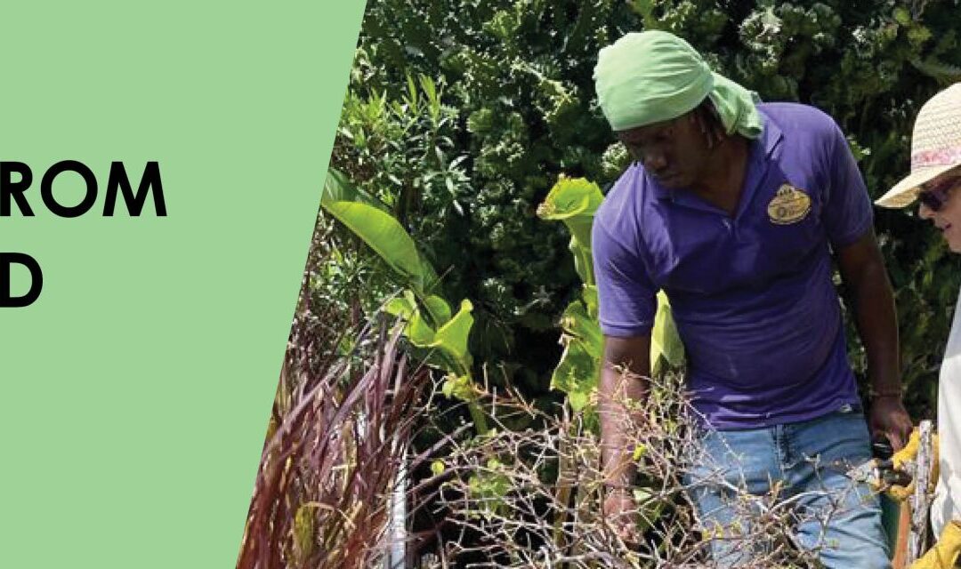 Home Away From Home – A Word from Lynne