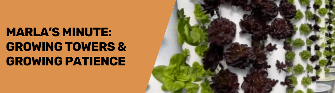 Marla’s Minute: Growing Towers & Growing Patience