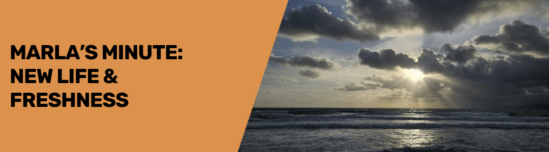 Marla’s Minute: New Life & Freshness